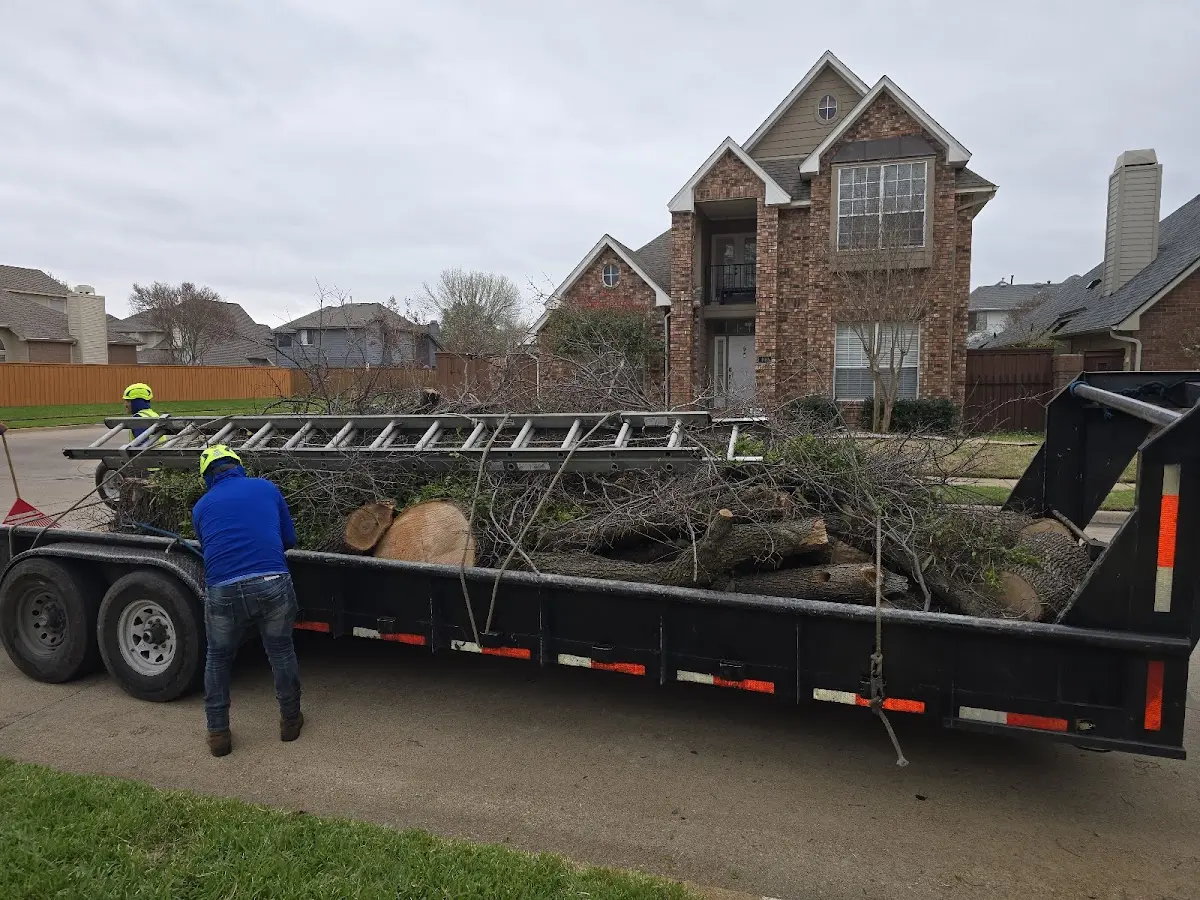 Expert Tree Fertilization with proper safety equipment in Moore Haven